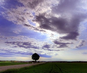 Inchoate Clouds and a Tree