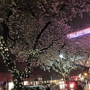 Downtown Davis at Night