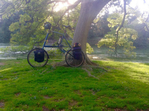 Odd bike in the Arboretum -- Photograph by Hillel Eflal