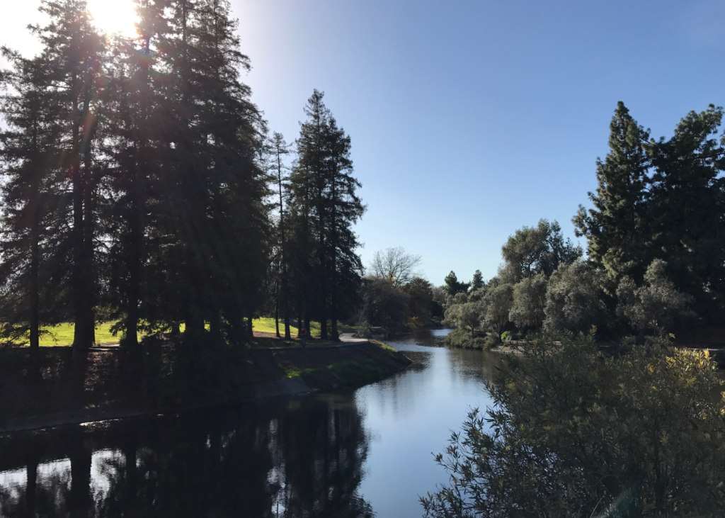 The UC Davis Arboretum