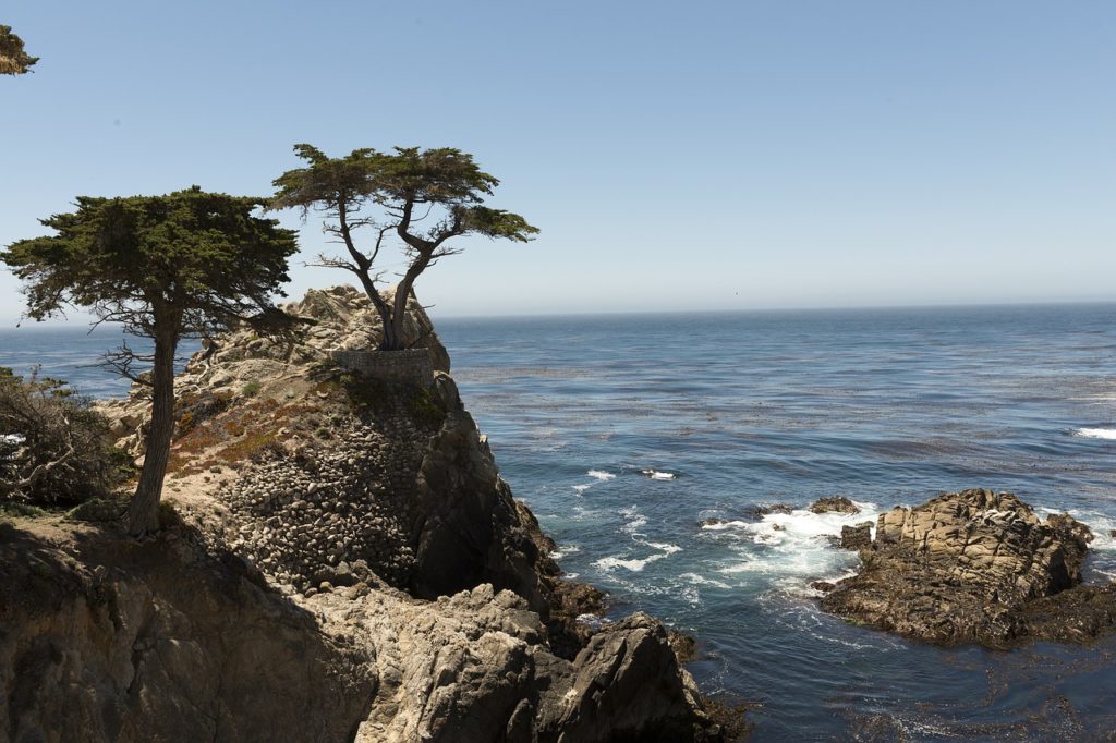 Pebble Beach Carmel