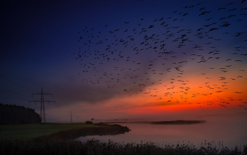 Sunrise